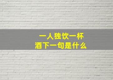 一人独饮一杯酒下一句是什么