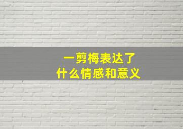 一剪梅表达了什么情感和意义