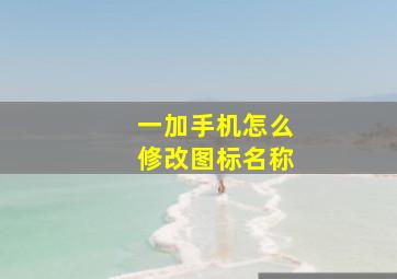 一加手机怎么修改图标名称