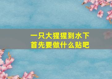 一只大猩猩到水下首先要做什么贴吧