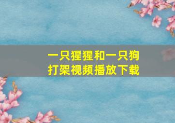 一只猩猩和一只狗打架视频播放下载