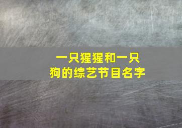 一只猩猩和一只狗的综艺节目名字