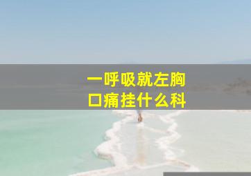 一呼吸就左胸口痛挂什么科