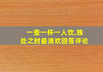 一壶一杯一人饮,独处之时最清欢回答评论