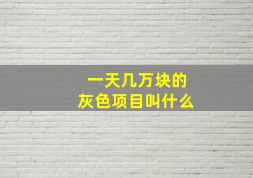 一天几万块的灰色项目叫什么