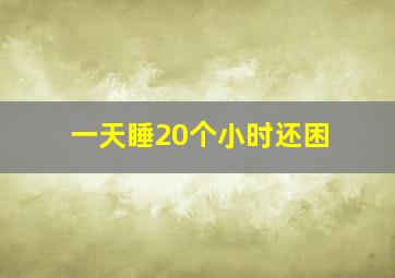 一天睡20个小时还困