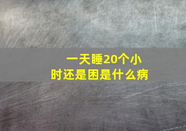 一天睡20个小时还是困是什么病