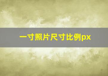 一寸照片尺寸比例px