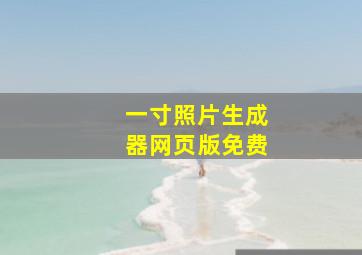 一寸照片生成器网页版免费