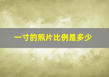 一寸的照片比例是多少