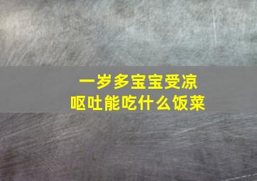 一岁多宝宝受凉呕吐能吃什么饭菜