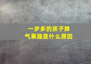 一岁多的孩子脾气暴躁是什么原因