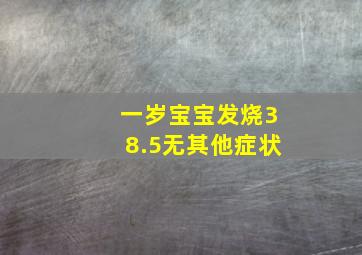 一岁宝宝发烧38.5无其他症状