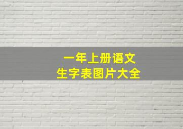 一年上册语文生字表图片大全