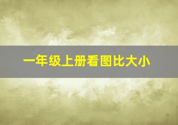 一年级上册看图比大小