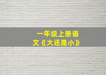 一年级上册语文《大还是小》