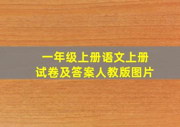 一年级上册语文上册试卷及答案人教版图片