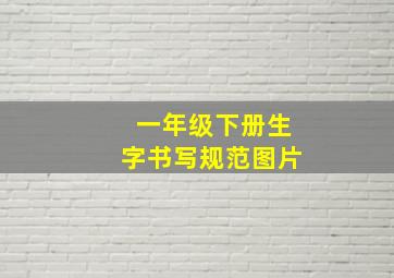 一年级下册生字书写规范图片