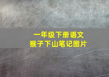 一年级下册语文猴子下山笔记图片