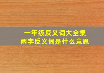 一年级反义词大全集两字反义词是什么意思