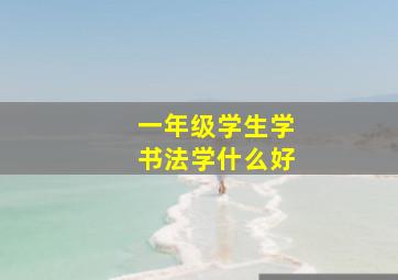 一年级学生学书法学什么好