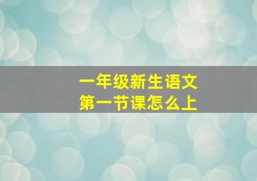 一年级新生语文第一节课怎么上