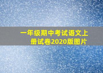 一年级期中考试语文上册试卷2020版图片