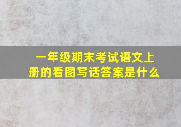 一年级期末考试语文上册的看图写话答案是什么