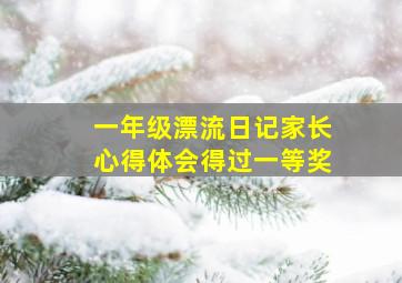 一年级漂流日记家长心得体会得过一等奖