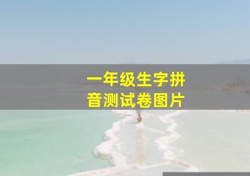 一年级生字拼音测试卷图片