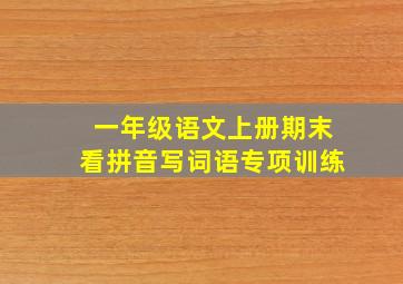 一年级语文上册期末看拼音写词语专项训练