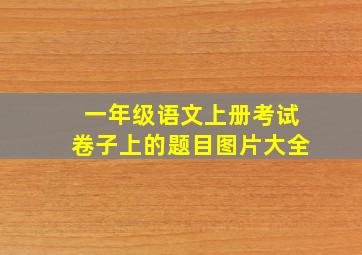 一年级语文上册考试卷子上的题目图片大全