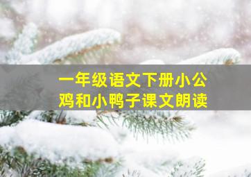 一年级语文下册小公鸡和小鸭子课文朗读