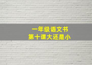 一年级语文书第十课大还是小