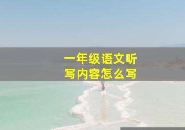 一年级语文听写内容怎么写