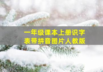 一年级课本上册识字表带拼音图片人教版