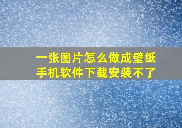 一张图片怎么做成壁纸手机软件下载安装不了