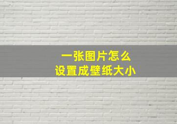 一张图片怎么设置成壁纸大小