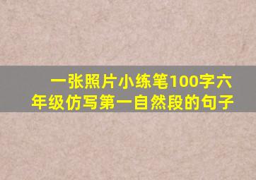 一张照片小练笔100字六年级仿写第一自然段的句子