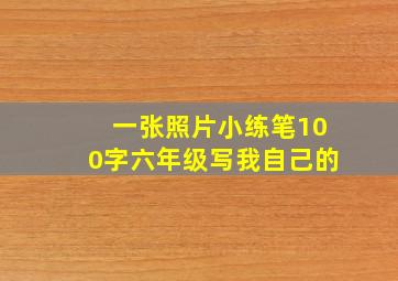 一张照片小练笔100字六年级写我自己的