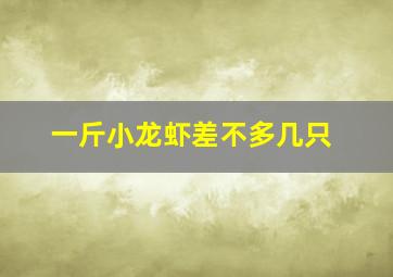 一斤小龙虾差不多几只