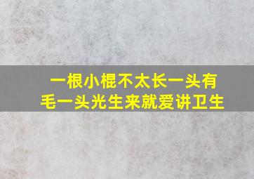 一根小棍不太长一头有毛一头光生来就爱讲卫生