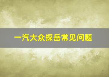 一汽大众探岳常见问题