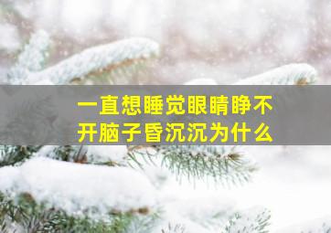 一直想睡觉眼睛睁不开脑子昏沉沉为什么