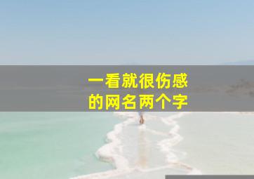 一看就很伤感的网名两个字