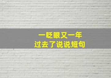 一眨眼又一年过去了说说短句