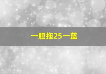 一胆拖25一蓝