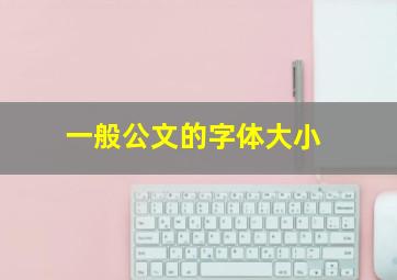 一般公文的字体大小