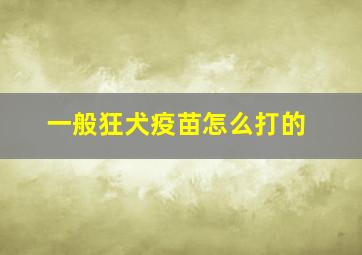 一般狂犬疫苗怎么打的