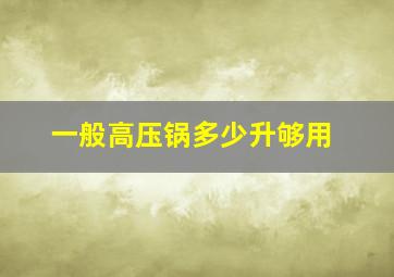 一般高压锅多少升够用